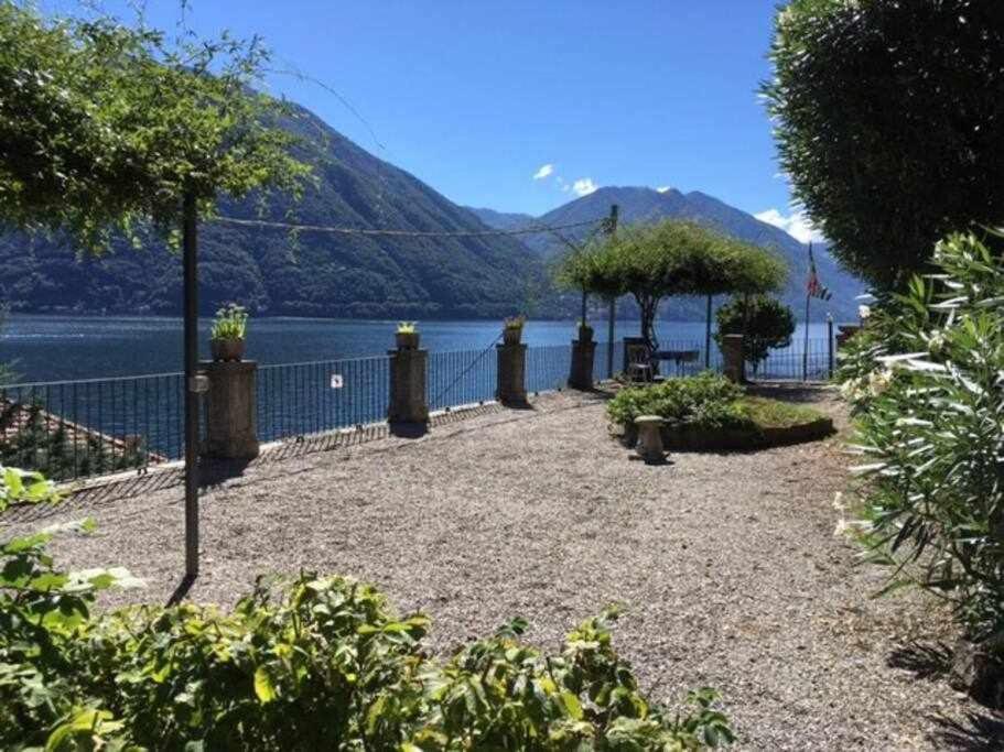 Peroni Classic With Swimming Pool